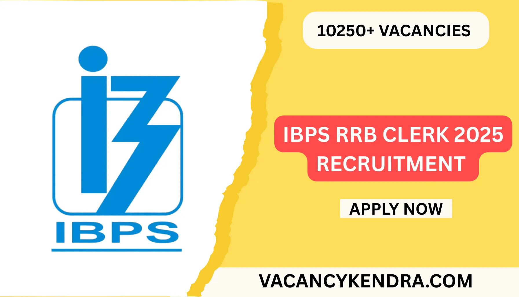 IBPS CLERK 2025 VACANCY